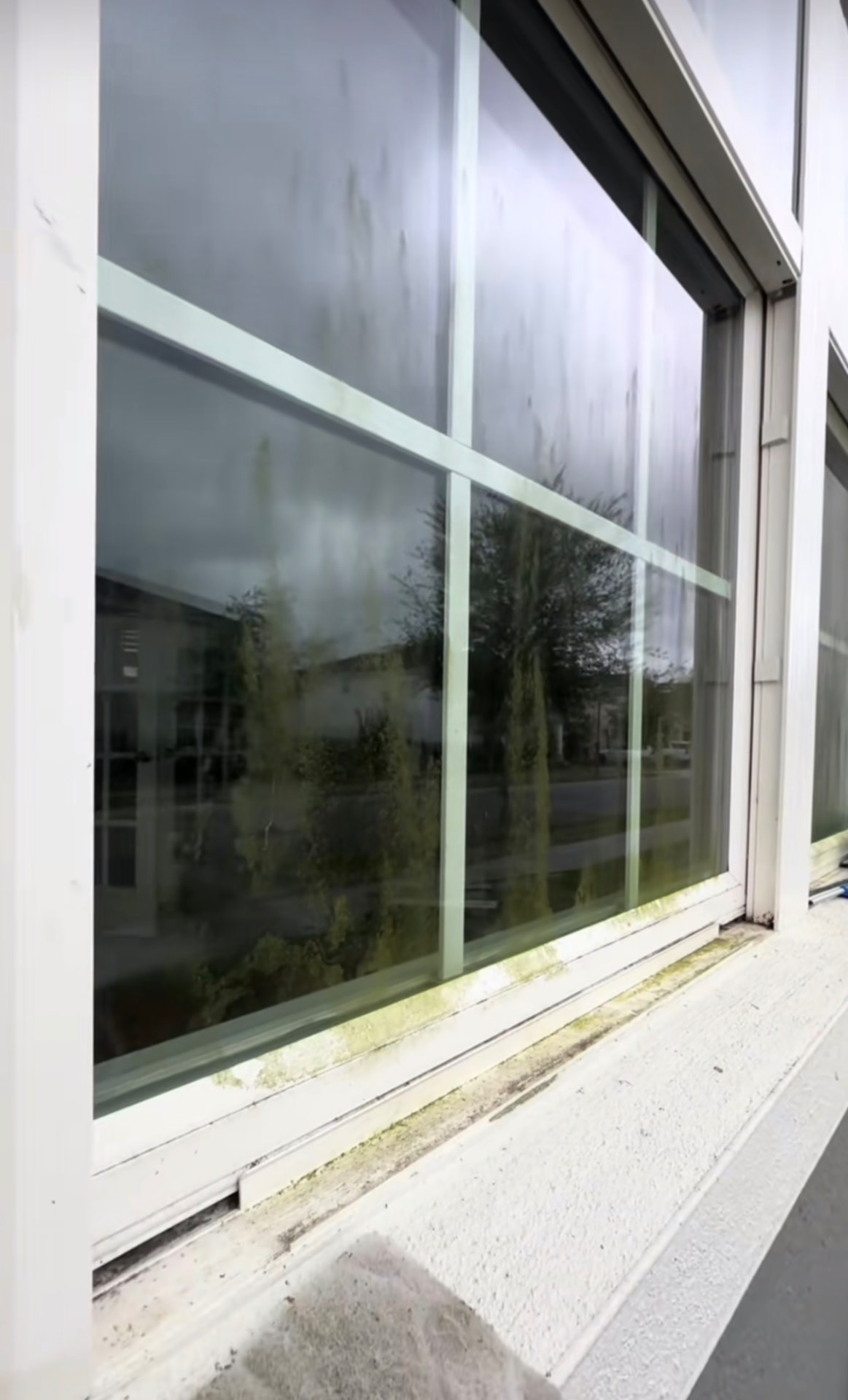 Window Cleaning before CAMTERRA service