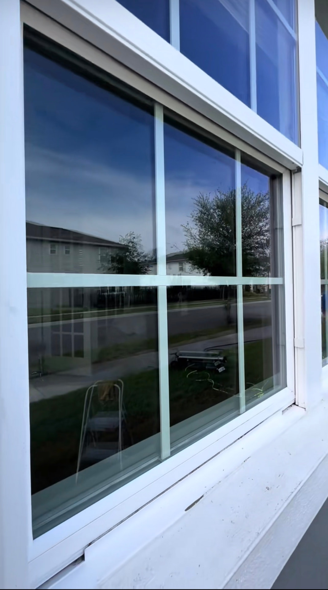 Window Cleaning after CAMTERRA service